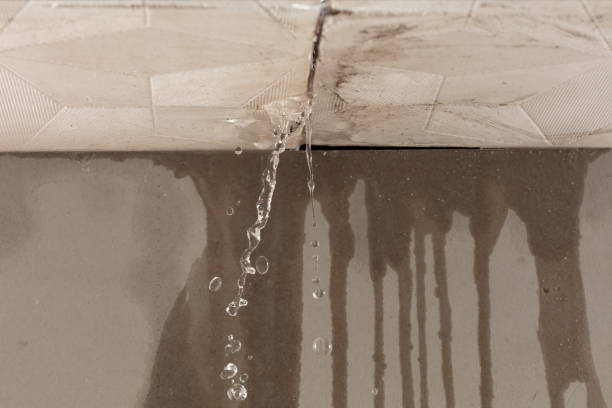 Professional Water Damage Repair technician working in Palomar Mountain, CA